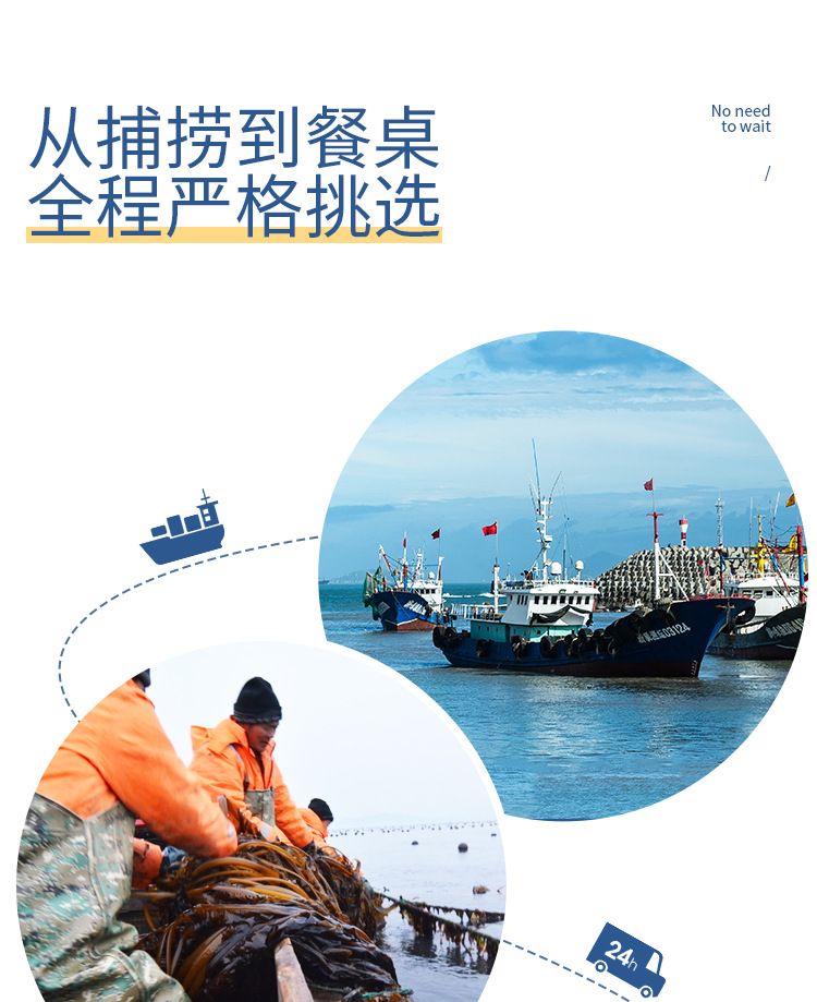干制烘干裙帶海產(chǎn)品干貨罐裝袋裝100g批發(fā)(圖3)